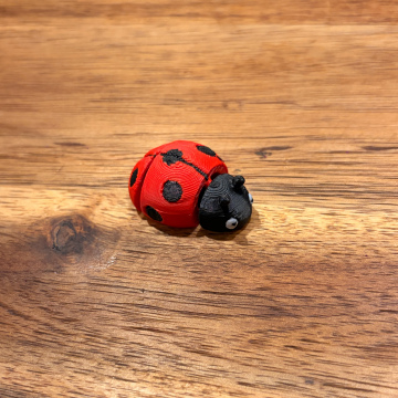 Mini Ladybug