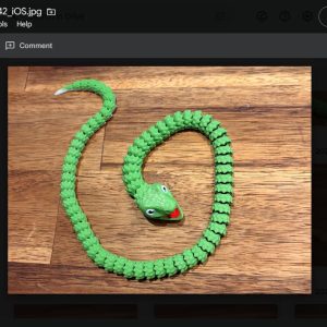 slinky green snake